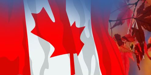 退休老夫妻2人，无出境记录，办理加拿大签证好签吗？