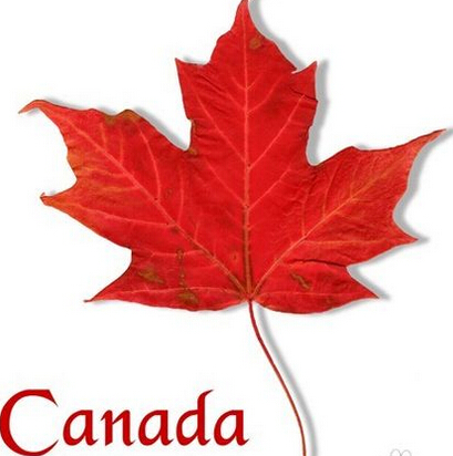 加拿大本科留学怎么转学分？