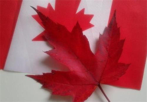 移民枫叶卡2017年到期更换有何要求？