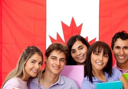 怎样自己申请加拿大大学？