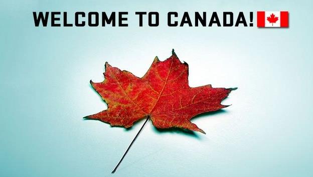 【问答】如果枫叶卡遗失，该如何申请补办？