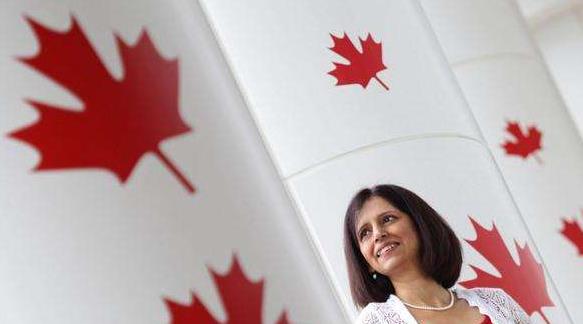 申请换领新的枫叶卡需要提交什么材料？