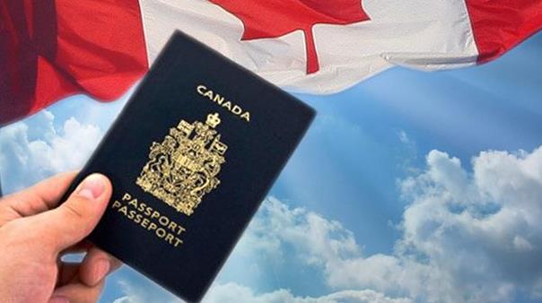 若枫叶卡过期，身处加国境外的永久居民有意申请枫叶卡，该如何办理？