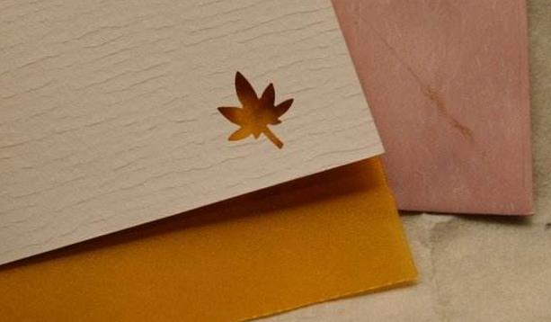 申请换领枫叶卡时所需何材料？