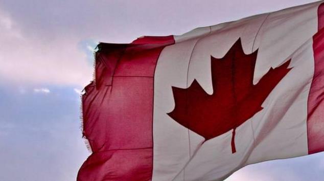 申请枫叶卡时需要提供的资料有哪些？