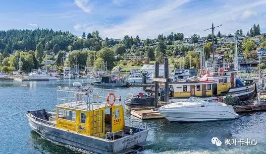 枫叶卡遗失被偷或损坏的重新办理流程详解！