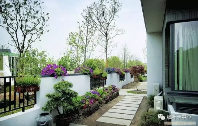 加拿大枫叶卡有哪些吸引力？