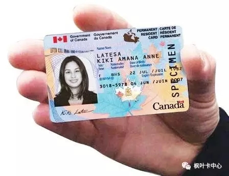 重磅！ 加拿大将推出枫叶卡新政 不用再邮寄文件！