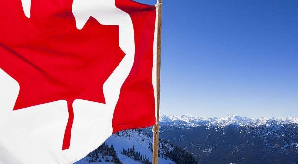 【枫叶卡申请】换发枫叶卡在最后一步被抽到复核怎么办？