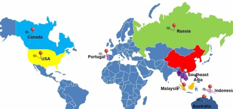 因为工作原因，造成枫叶卡或者移民资格被取消怎么办？